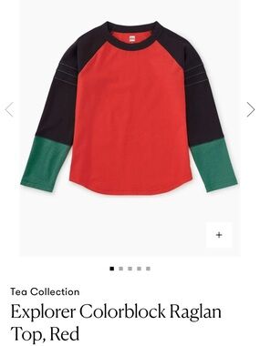 Tea Collection boys explorer Colorblock Raglan Top